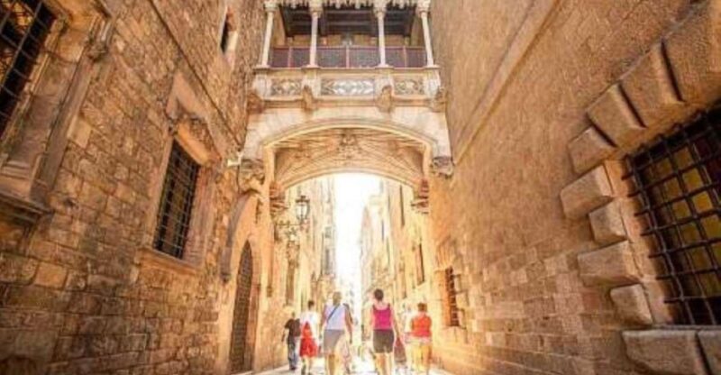 Barcelona Historic Guided Tour - The Starting Point at Plaça Nova and Meeting Details