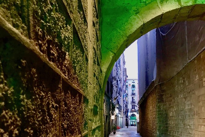 Barcelona Historic Walking Tour and Food Experience - Accessibility and Physical Requirements