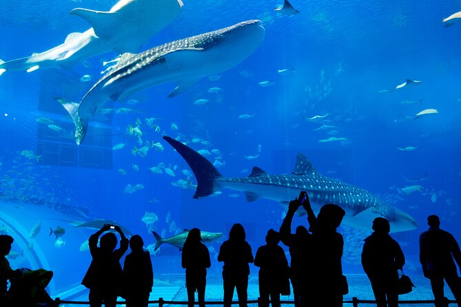 Barcelona Hop On Hop Off Bus Tour With Aquarium Admission - The West Route and Its Hidden Gems