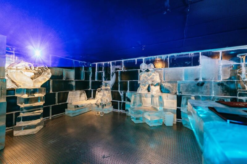 Barcelona: Ice Bar Experience Entry Ticket with 1 Drink - What to Expect Inside the Ice Lounge