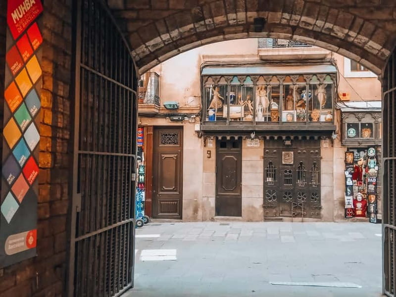 Barcelona: Introduction to the Gothic Quarter Walking Tour - Practical Tips and Local Insights from the Guides