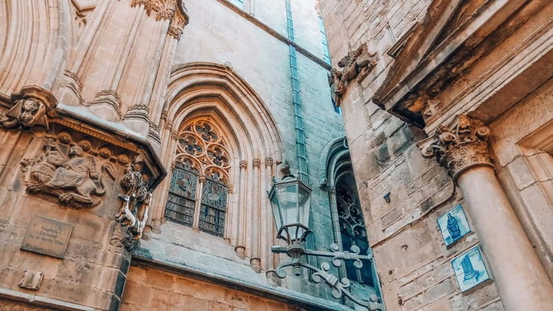 Barcelona: Introduction to the Gothic Quarter Walking Tour - Accessibility and Group Experience