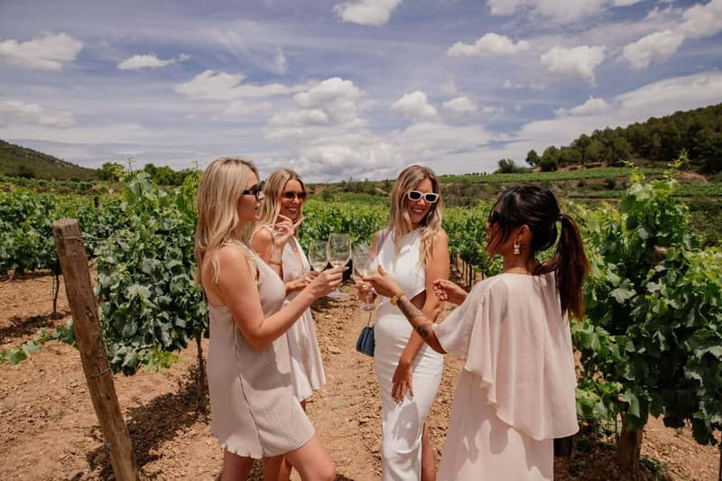 Barcelona: Luxury Wine Tasting at Boutique Winery +6-courses - Comparing Similar Experiences in the Region