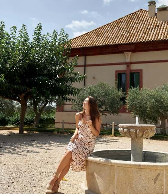 Barcelona: Luxury Wine Tasting at Boutique Winery +6-courses - Why Choose This Boutique Wine Tasting Tour