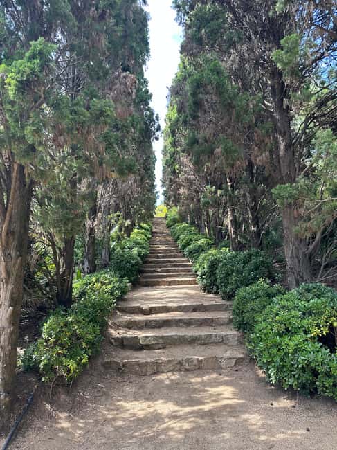 Barcelona: Marimurtra Blanes Costa Brava /+ Wine Tour +Tapas - Wine Tasting and Tapas at a Seaside Winery