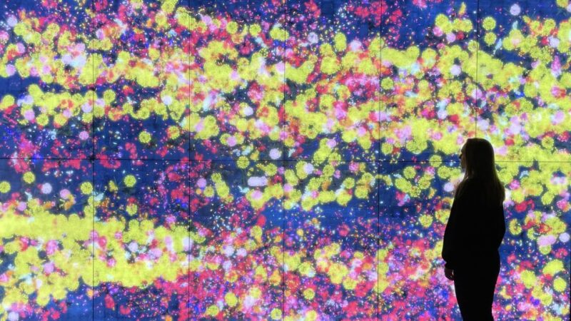 Barcelona: Moco Museum Private Guided Tour - Discover Barcelonas Modern Art Scene with a Private Moco Museum Tour