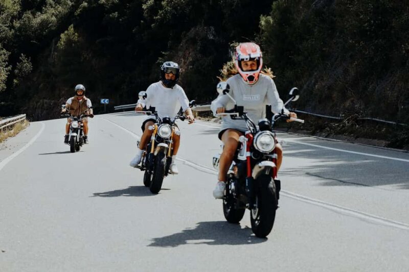 Barcelona: Monkey Bike Tour to Montserrat - Logistics: Pickup, Group Size, and Requirements