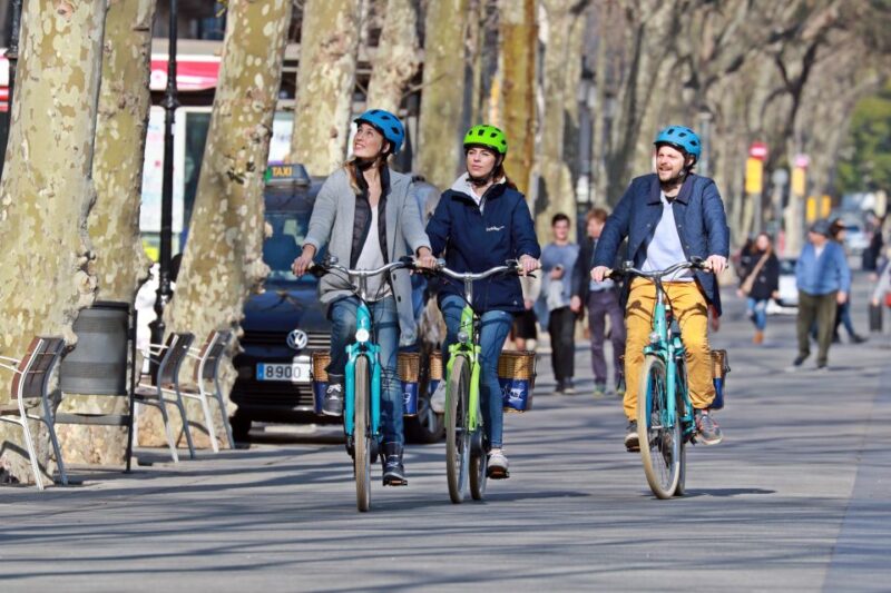 Barcelona: Montjuic Hill E-Bike Tour - Logistics, Guides, and Group Experience
