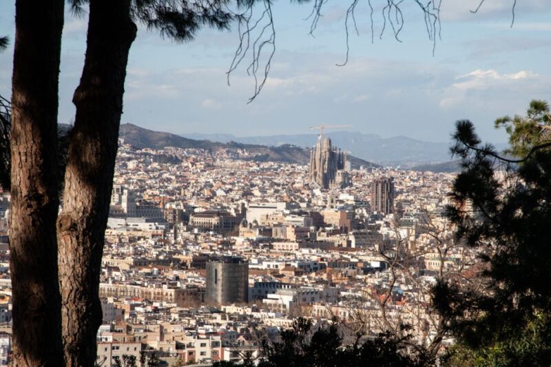 Barcelona: Montjuïc Walking Tour With Optional Flamenco Show - Explore Montjuïc: Scenic Views, Gardens, and Historic Sites