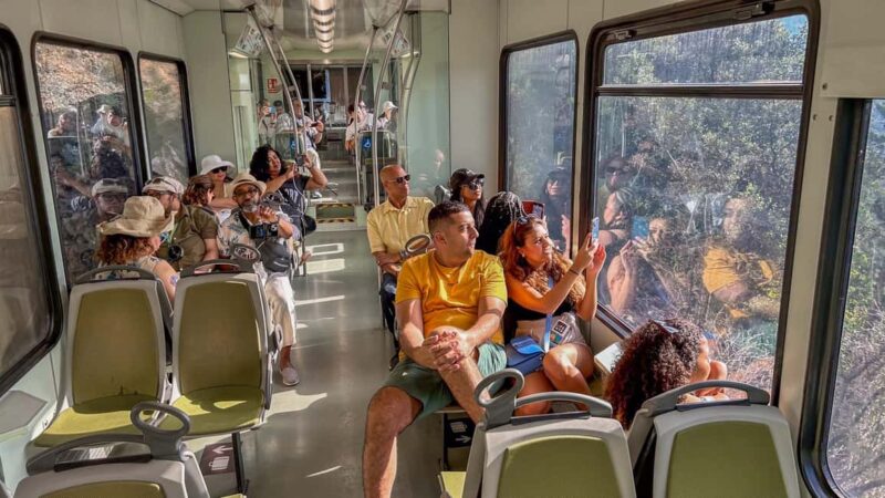 Barcelona: Montserrat, Black Madonna, Rack Railway & Liquors - Accessibility and Physical Requirements