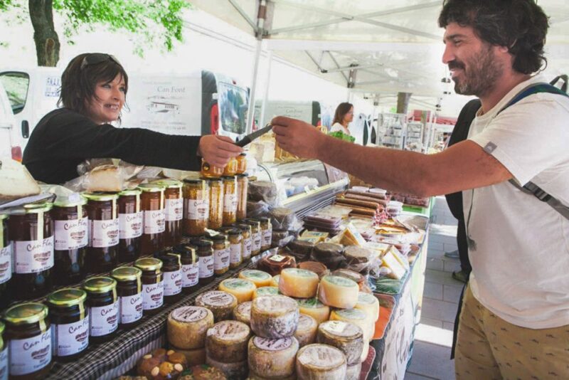 Barcelona: Montserrat Private Trip with Monastery Ticket - Timing, Crowd Management, and Peak Season Tips