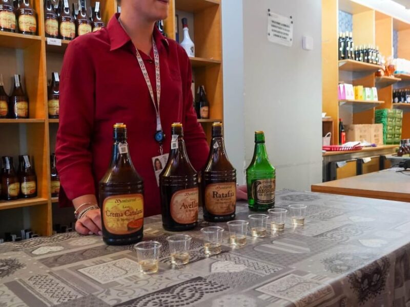 Barcelona: Montserrat Tour with Cog-Wheel & Black Madonna - Practical Details: Meeting Points, Transport, and Accessibility