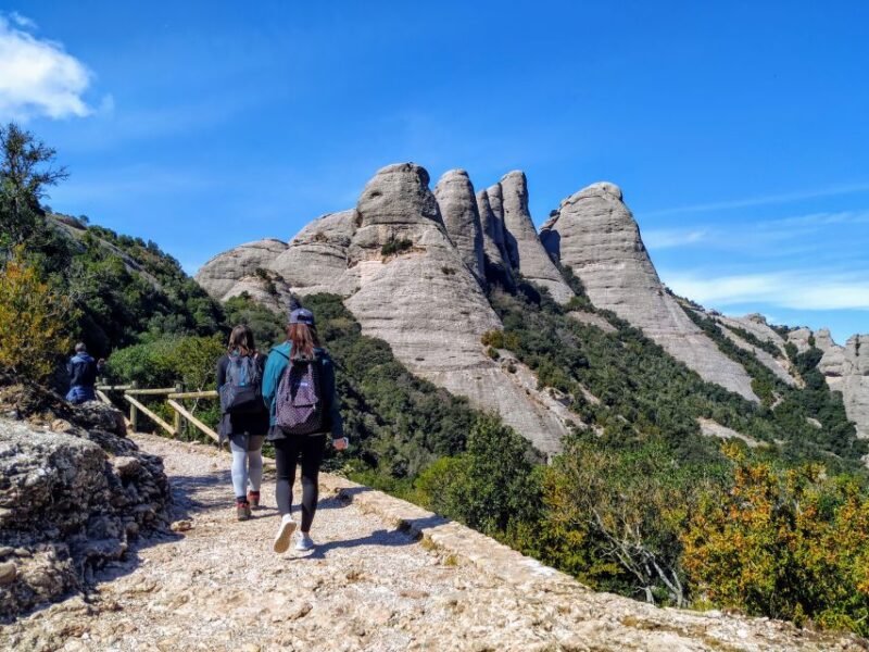 Barcelona: Montserrtat Hike and Winery Tour with Tasting - Key Points