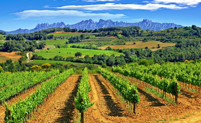 Barcelona: Montserrtat Hike and Winery Tour with Tasting - Discovering Montserrat Monastery with Expert Guidance