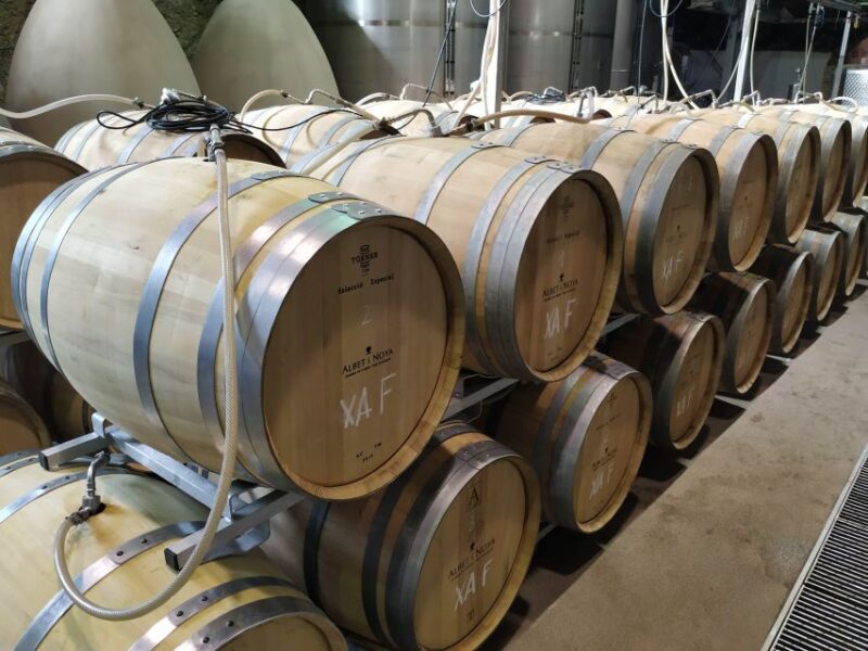 Barcelona: Montserrtat Hike and Winery Tour with Tasting - Enjoying Catalan Snacks and Wine Pairings