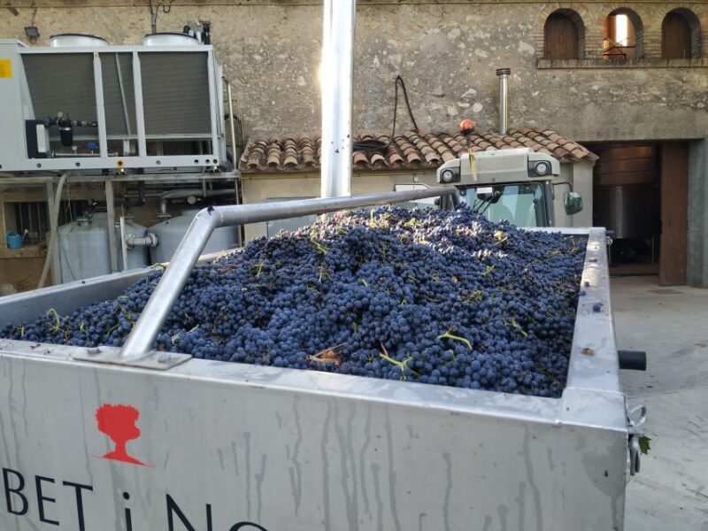 Barcelona: Montserrtat Hike and Winery Tour with Tasting - What to Bring and Physical Considerations