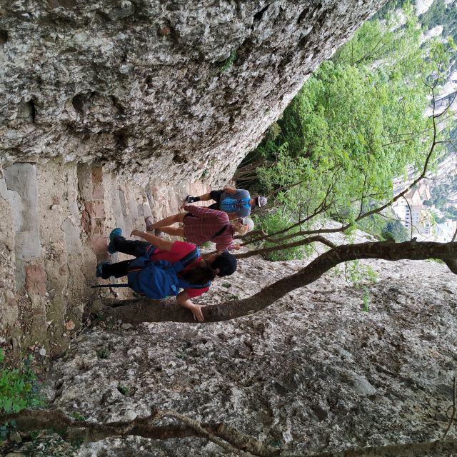 Barcelona: Montserrtat Hike and Winery Tour with Tasting - Summary of the Tour’s Strengths and Limitations