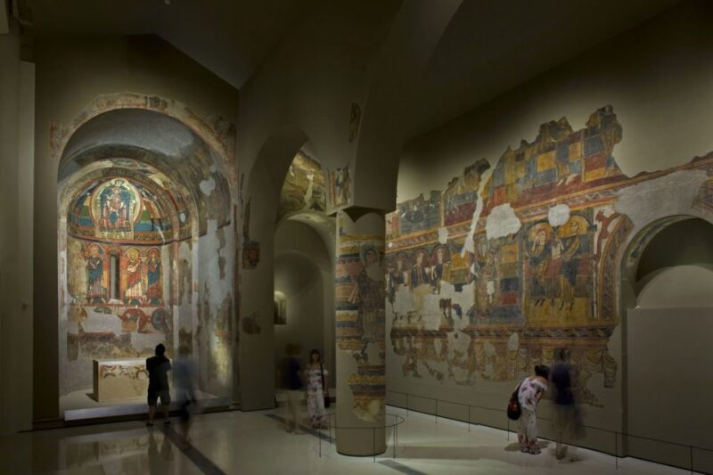 Barcelona: Museu Nacional d'Art de Catalunya Entrance Ticket - Accessibility and Convenience for Visitors