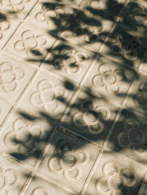 Barcelona: Night Lights & Tapas Tour by Car - Flexible Pacing and Personal Moments During the Tour