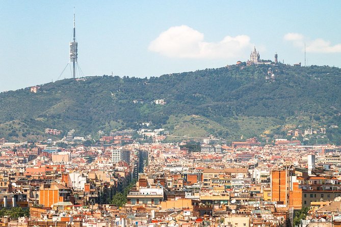 Barcelona Old Town Walking Tour & Panoramic Views - Key Points