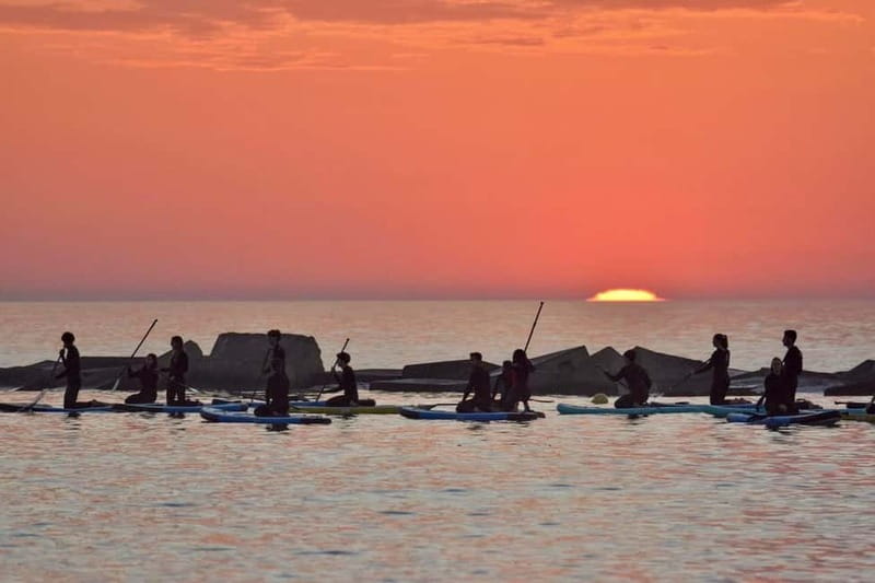 Barcelona: Paddleboarding at Sunrise Includes: teacher, photos, and materials - Key Points