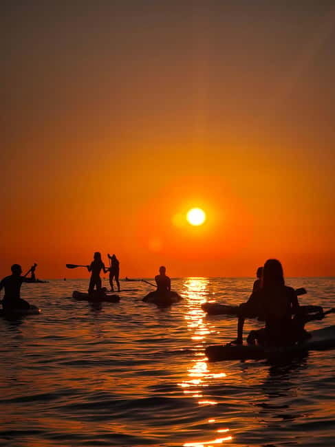 Barcelona: Paddleboarding at Sunrise Includes: teacher, photos, and materials - The Social and Photographic Aspects