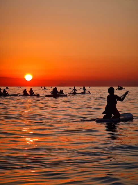 Barcelona: Paddleboarding at Sunrise Includes: teacher, photos, and materials - Pacing, Crowd Levels, and Timing