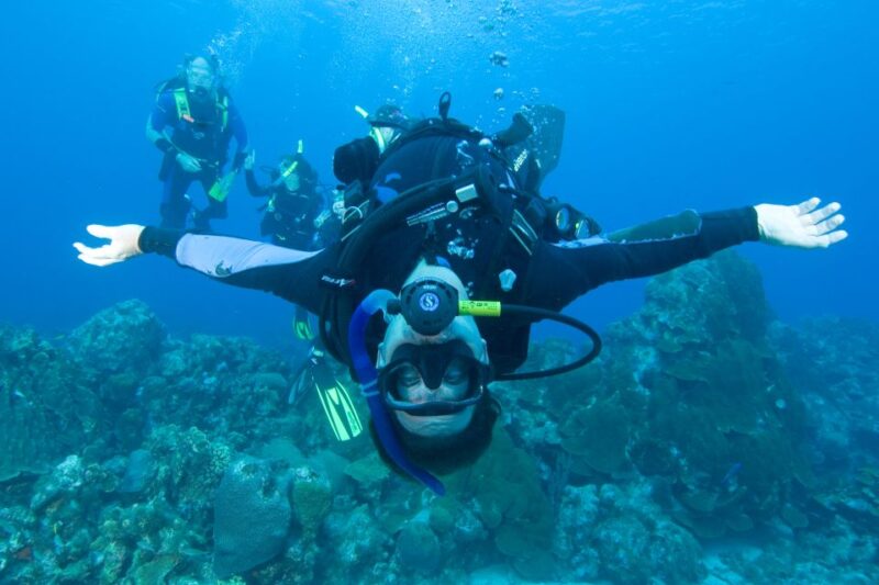 Barcelona: PADI Discover Scuba Diving - The Sum Up: An Engaging First Step into the Underwater World