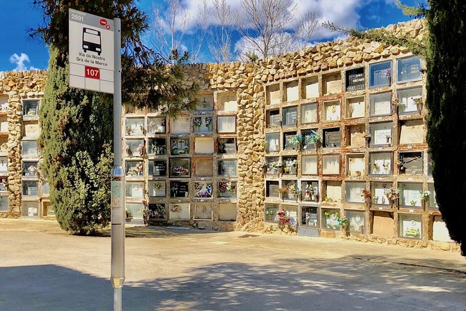 Barcelona Panoramic Walking Tour - Discover Montjuic - Practical Details: Logistics and Group Size