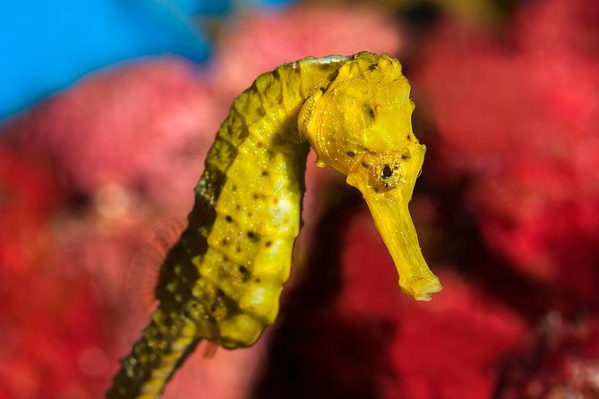 Barcelona Pass: Save up to 50% - Includes Sagrada Familia - Key Points