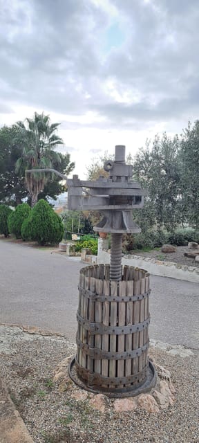 Barcelona: Penedès Vineyard Horseback Ride with Wine Tasting - Return Journey and Flexibility