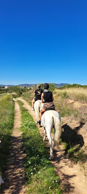 Barcelona: Penedès Vineyard Horseback Ride with Wine Tasting - Practical Details and Recommendations