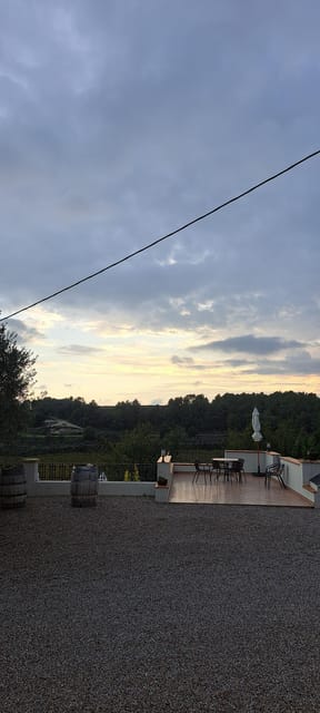 Barcelona: Penedès Vineyard Horseback Ride with Wine Tasting - Final Thoughts on the Penedès Horseback Ride and Wine Tasting Tour