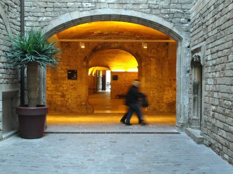 Barcelona: Picasso Museum Guided Tour - Practical Details: Meeting Point and Accessibility