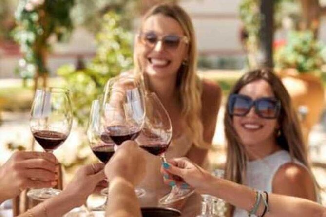 Barcelona: Priorat 3 Wine Tastings + 3-Course Gourmet Lunch - Starting with a Comfortable Pickup in Barcelona