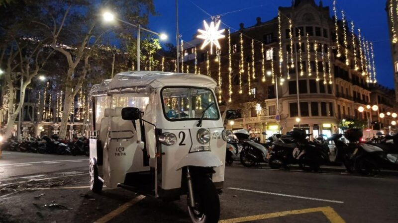 Barcelona: Private Christmas Lights Tour by Eco Tuk Tuk - Casa Mila and Palau Robert: Highlights of the Route