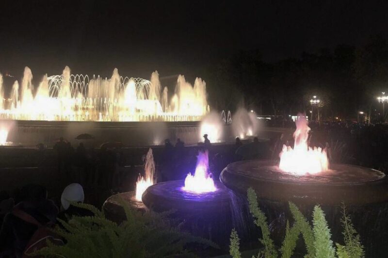 Barcelona: Private City Sights Tour, Including Cable Car - The Spectacular Magic Fountain Show