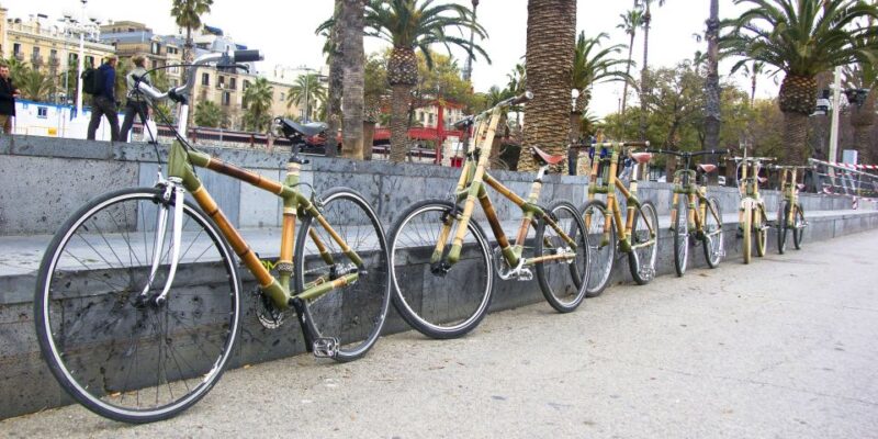 Barcelona: Private Highlights Tour by Bamboo Bicycle - Food and Drink Options During Extended Tours