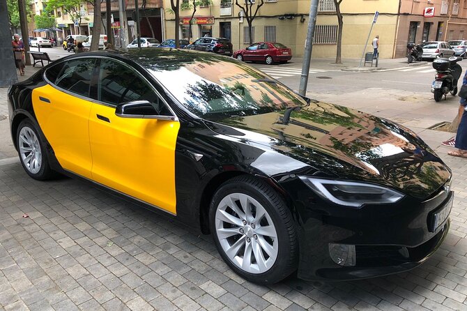 Barcelona Private Transfer from Cruise Terminal to barcelona city - Comparing This Service with Local Taxis