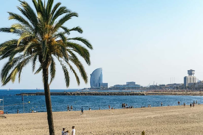 Barcelona: Sagrada Familia or City Tour by Bike or eBike - Riding Along Barcelona’s Seafront and Marina