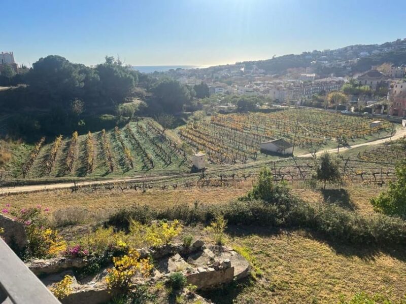 Barcelona: Sailing and Alella Winery Tour with Wine Tasting - Tasting 3 Exclusive Wines with Local Snacks