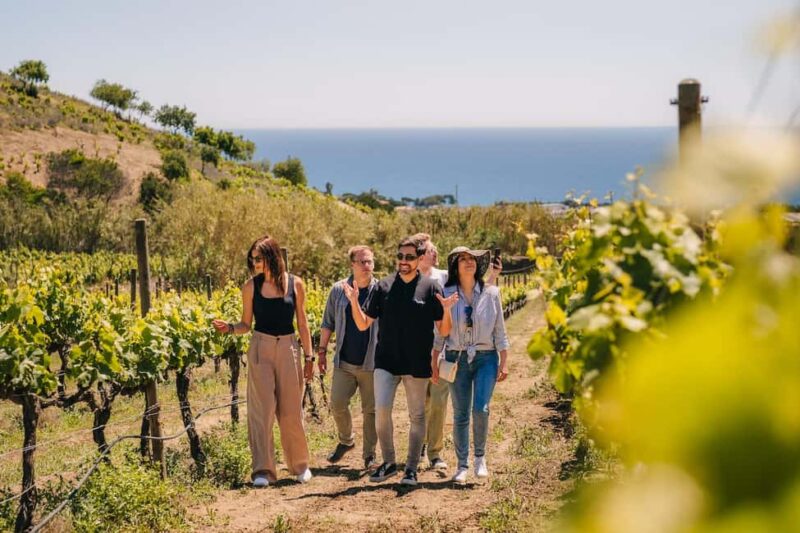 Barcelona: Sailing Cruise & Vineyard Tour with Wine Tasting - Meeting Point and Practical Details