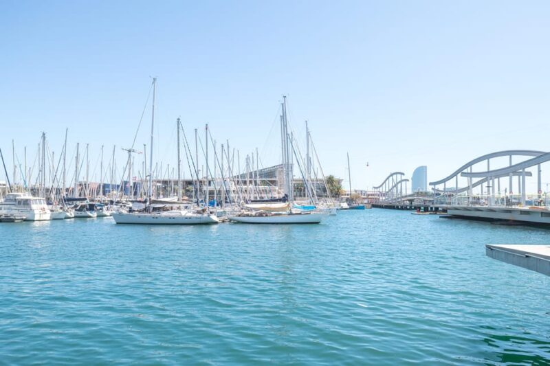 Barcelona: Sailing experience with food and drinks tasting - Key Points