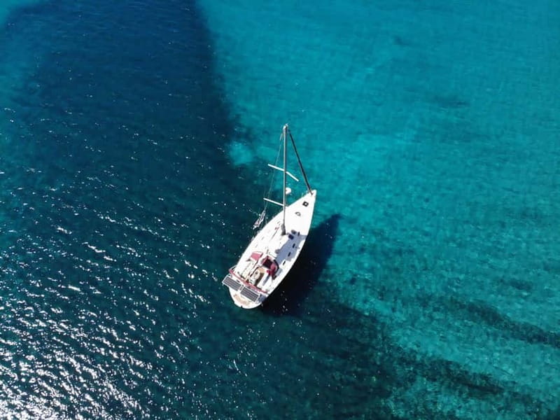 Barcelona: Sailing tours with open bar and snacks - The Experience of Swimming in the Mediterranean