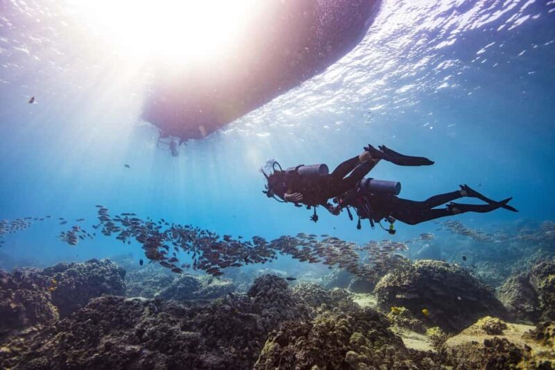 BARCELONA: SCUBA DIVING INITIATION - Dive in and experience underwater adventures - 2 hours - Discover Underwater Barcelona: Guided Scuba Diving from the Shore