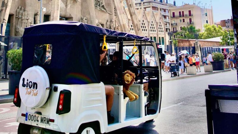 Barcelona: Small Group Tuk Tuk Tour - Experience the Vibrant Plaça de Catalunya and Other Neighborhoods