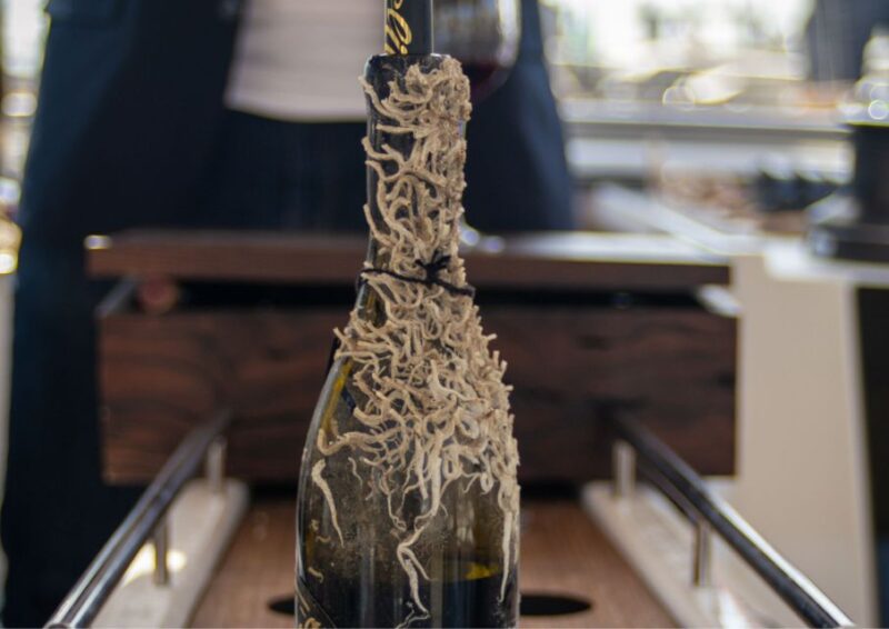 Barcelona: Submarine Winery Wine Tasting and Sailing Tour - What to Expect During the Wine Tasting