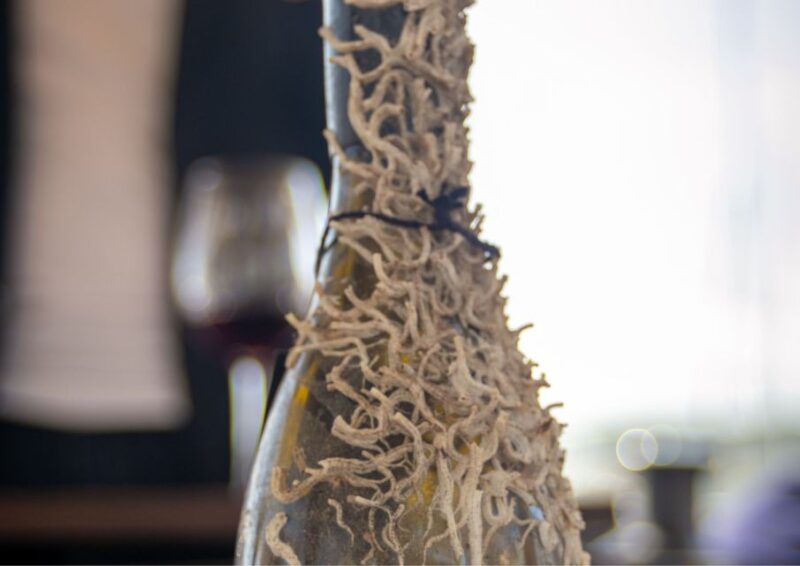 Barcelona: Submarine Winery Wine Tasting and Sailing Tour - Selective Use of Snacks and Beverages