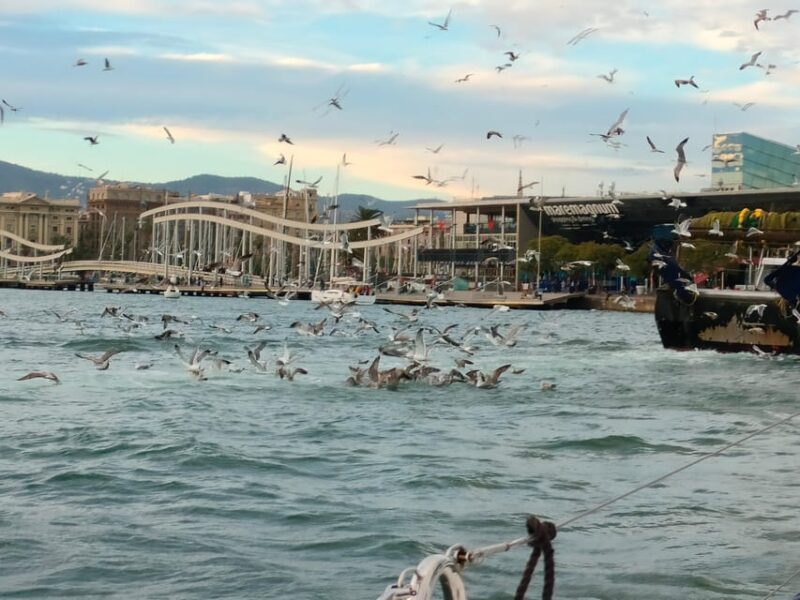 Barcelona: Sunset Cruise with Snacks and Drinks - Key Points