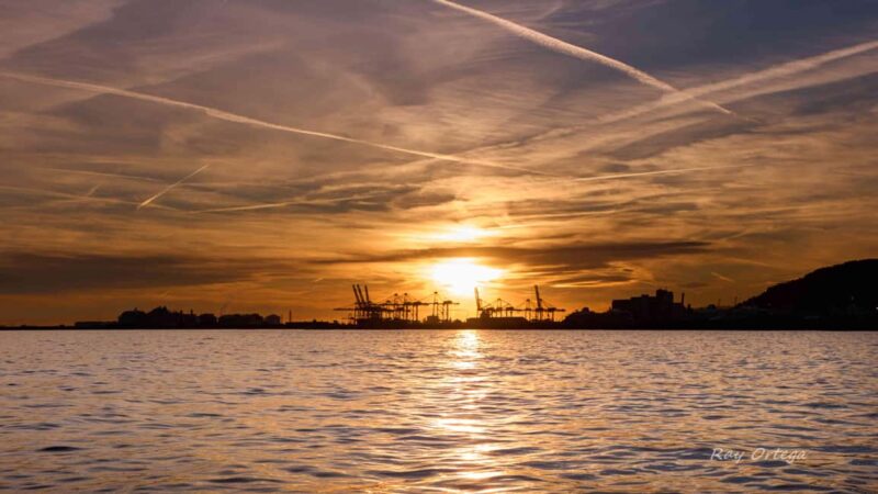 Barcelona: Sunset on a Premium Catamaran with drinks and snacks. - Experience the Magic of the Mediterranean at Sunset